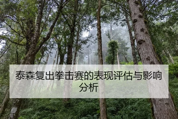 泰森复出拳击赛的表现评估与影响分析