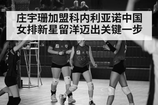Italian volleyball league match